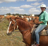 Myella Farm Stay Tours - Phillip Island Accommodation