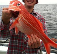 Goin' Off Safaris - Phillip Island Accommodation