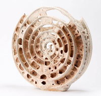 Noosa Regional Gallery - Phillip Island Accommodation