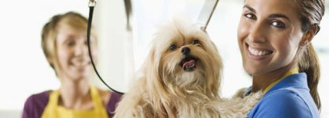 Port Stephens Pet Barn - Phillip Island Accommodation 1