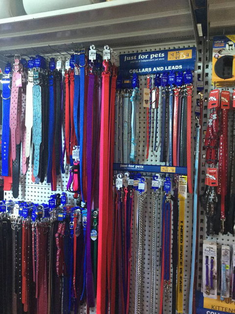 Port Stephens Pet Barn - Phillip Island Accommodation 3