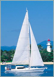 Macrista Luxury Charters - Phillip Island Accommodation 2