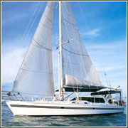 Macrista Luxury Charters - Phillip Island Accommodation 4