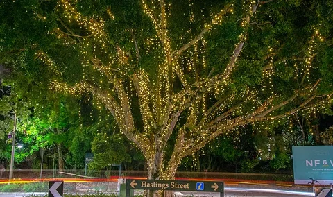 The Sunshine Coast Tour Company - Phillip Island Accommodation 3