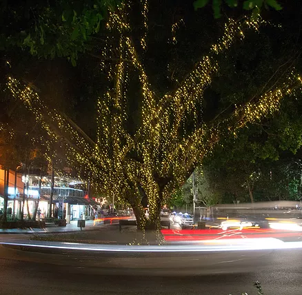 The Sunshine Coast Tour Company - Phillip Island Accommodation 2