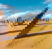 Pinnacles Desert Koalas and Sandboarding 4WD Day Tour from Perth - Phillip Island Accommodation