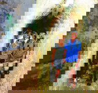 Rottnest Island Full-Day Trip With Guided Island Tour From Perth - Phillip Island Accommodation