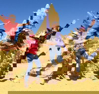 Pinnacles and Swan Valley Day Trip from Perth Including Caversham Wildlife Park Vineyard Lunch Pinnacles and Sandboarding - Phillip Island Accommodation