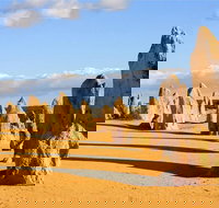 Pinnacles and Yanchep National Park Day Trip from Perth Including Lobster Shack Lunch and Sandboarding - Phillip Island Accommodation