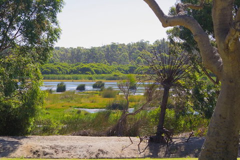 Pinnacles And Yanchep National Park Day Trip From Perth Including Lobster Shack Lunch And Sandboarding - Phillip Island Accommodation 10