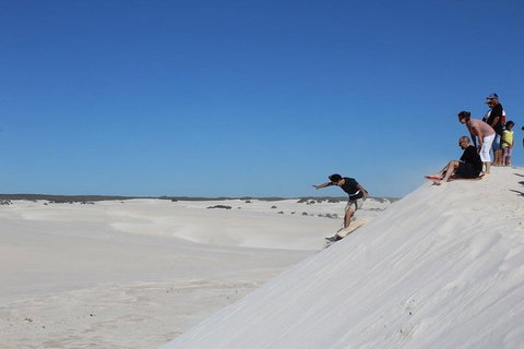 Pinnacles And Yanchep National Park Day Trip From Perth Including Lobster Shack Lunch And Sandboarding - Phillip Island Accommodation 4