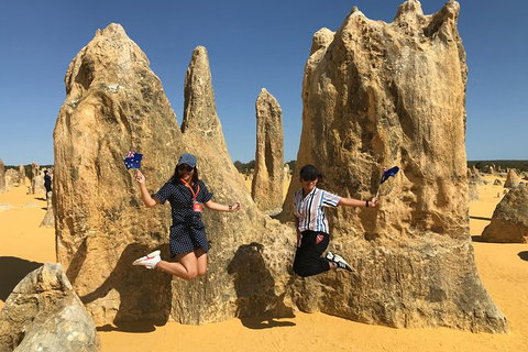 Pinnacles And Yanchep National Park Day Trip From Perth Including Lobster Shack Lunch And Sandboarding - Phillip Island Accommodation 2