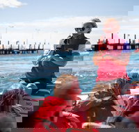 Rottnest Island Tour from Perth or Fremantle including Adventure Speed Boat Ride - Phillip Island Accommodation