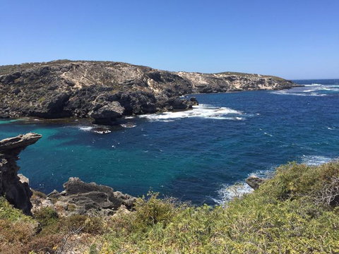 Rottnest Island Tour From Perth Or Fremantle Including Bus Tour - Phillip Island Accommodation 3