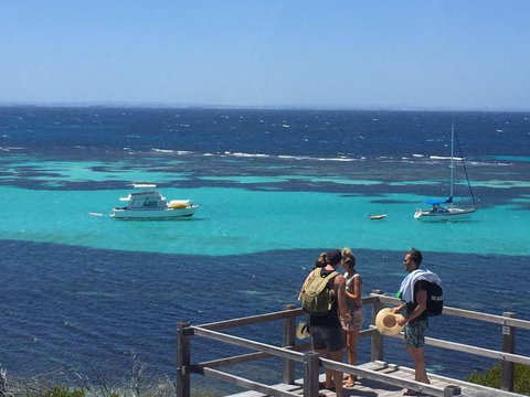 Rottnest Island Tour From Perth Or Fremantle Including Bus Tour - Phillip Island Accommodation 4