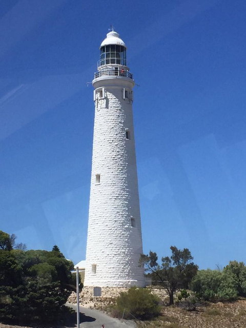 Rottnest Island Tour From Perth Or Fremantle Including Bus Tour - Phillip Island Accommodation 2