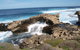 Rottnest Island Tour From Perth Or Fremantle Including Bus Tour - thumb 5