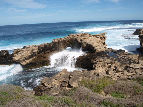 Rottnest Island Tour From Perth Or Fremantle Including Bus Tour - Phillip Island Accommodation 5