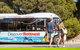 Rottnest Island Tour From Perth Or Fremantle Including Bus Tour - thumb 9