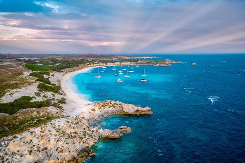 Rottnest Island Tour From Perth Or Fremantle Including Bus Tour - Phillip Island Accommodation 8