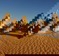 Pinnacles Day Trip from Perth Including Yanchep National Park - Phillip Island Accommodation