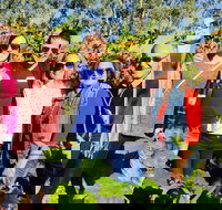 Swan Valley Tour from Perth Wine Beer and Chocolate Tastings - Phillip Island Accommodation