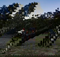 Stargazing Busselton with Mobile Observatory - Phillip Island Accommodation