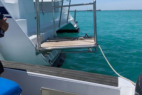 Snubfin Dolphin Eco Cruise From Broome - Phillip Island Accommodation 15