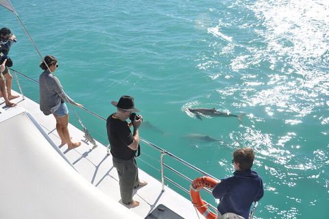 Snubfin Dolphin Eco Cruise From Broome - Phillip Island Accommodation 4