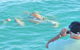 Snubfin Dolphin Eco Cruise From Broome - thumb 3