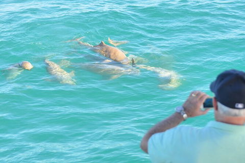 Snubfin Dolphin Eco Cruise From Broome - Phillip Island Accommodation 3