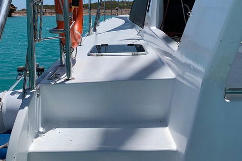 Snubfin Dolphin Eco Cruise From Broome - Phillip Island Accommodation 13