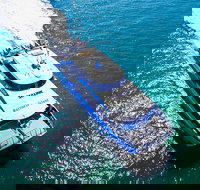 Rottnest Island Roundtrip Ferry from Perth with Transfer - Phillip Island Accommodation