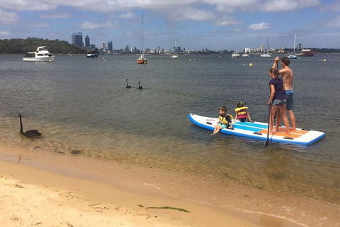 Stand Up Paddle Boarding - 2 Person Lesson - 1 Hour - Phillip Island Accommodation 8