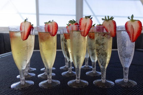 Swim With Whale Sharks- The Largest Fish In The World! - Phillip Island Accommodation 7