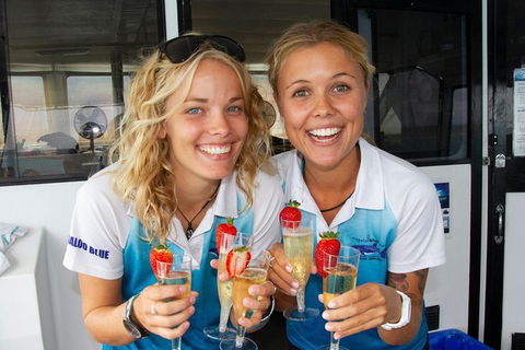 Swim With Whale Sharks- The Largest Fish In The World! - Phillip Island Accommodation 37