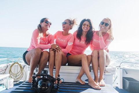 Swim With Whale Sharks- The Largest Fish In The World! - Phillip Island Accommodation 15