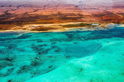 Swim With Whale Sharks- The Largest Fish In The World! - Phillip Island Accommodation 43