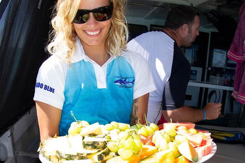 Swim With Whale Sharks- The Largest Fish In The World! - Phillip Island Accommodation 8