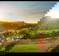 Private Swan Valley Tour by Luxury Vehicle from Perth - Phillip Island Accommodation