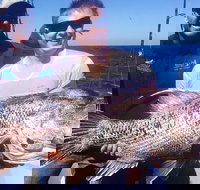 Deep Sea Fishing Charter from Perth - Phillip Island Accommodation