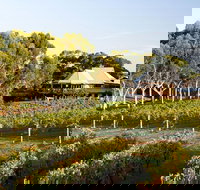 Margaret River and Geographe Bay Region Day Trip from Perth - Phillip Island Accommodation