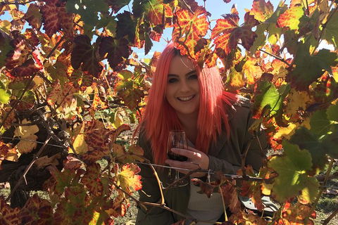 Swan Valley Winery Experience - Full Day Coach Tour - Phillip Island Accommodation 2