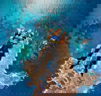 Rottnest Island Tandem Skydive - Phillip Island Accommodation