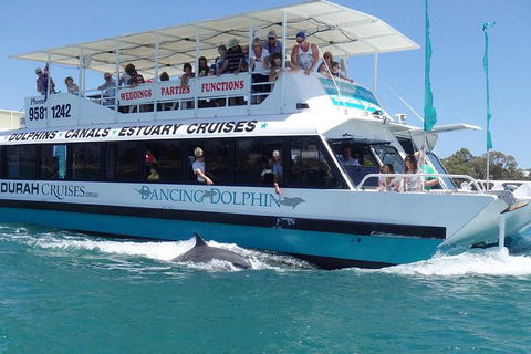 Mandurah Dolphin And Scenic Marine Cruise - Phillip Island Accommodation 1