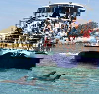 Mandurah Dolphin and Scenic Marine Cruise - Phillip Island Accommodation