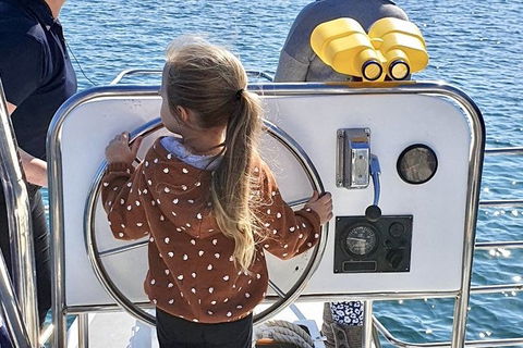 Mandurah Dolphin And Scenic Marine Cruise - Phillip Island Accommodation 10