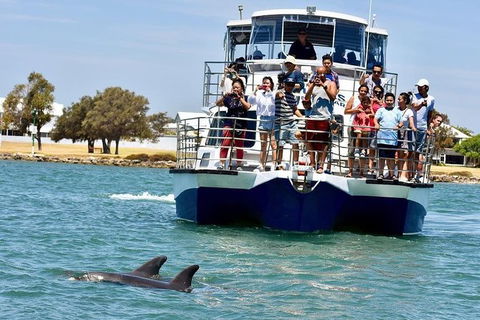 Mandurah Dolphin And Scenic Marine Cruise - Phillip Island Accommodation 2
