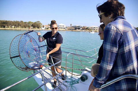 Mandurah Dolphin And Scenic Marine Cruise - Phillip Island Accommodation 16