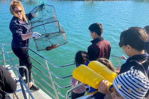 Mandurah Dolphin And Scenic Marine Cruise - Phillip Island Accommodation 18